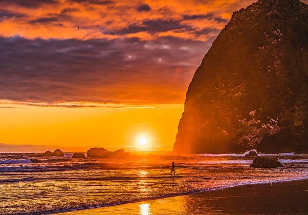 Perry, William 아티스트의 Playing birds colorful sunset-Haystack Rock-Canon Beach-Clatsop County-Oregon-Originally discovered작품입니다.